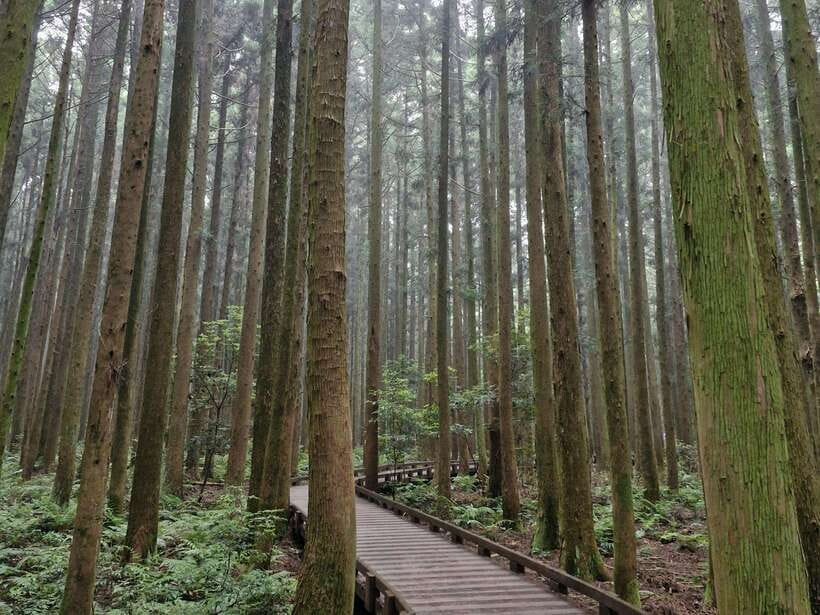 Jeju Island: Private Tour with Driving guide - Artistic and Historical Stops