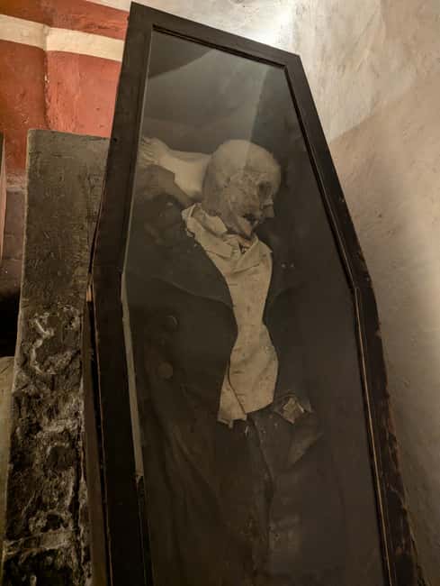 Mexico City: Museum of El Carmen Tour with Ticket - Who Will Love This Tour?