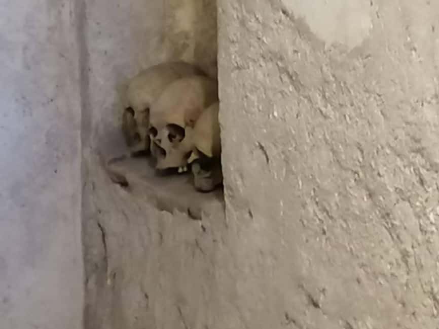 Mexico City: Museum of El Carmen Tour with Ticket - Key Points