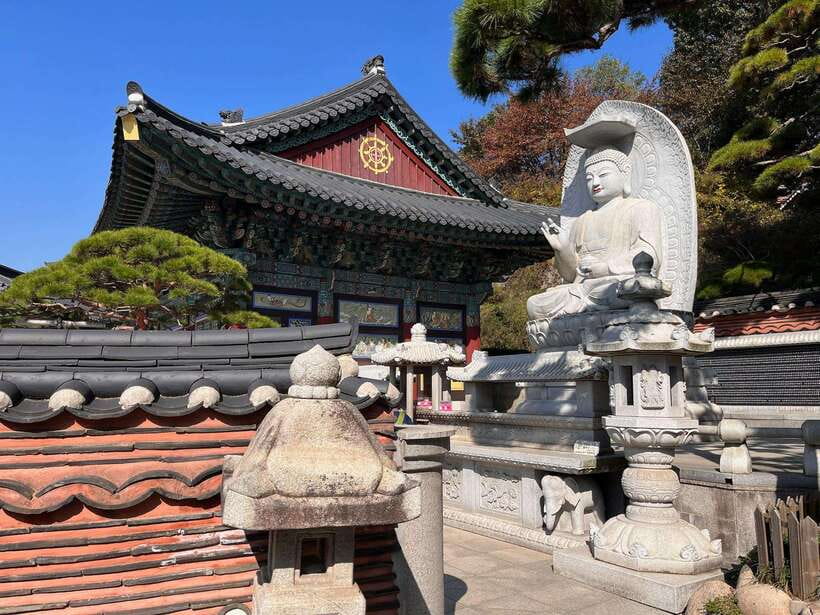 Seoul Sunrise & Sunset Hike + Temple & K-Food Adventure - Final Thoughts