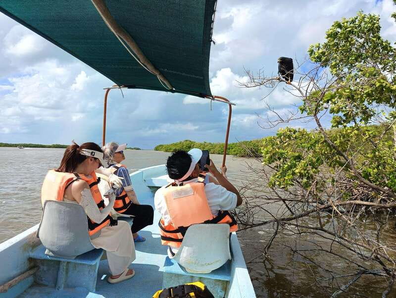 Yucatán: Río Lagartos Biosphere Reserve Boat Tour - Final Thoughts