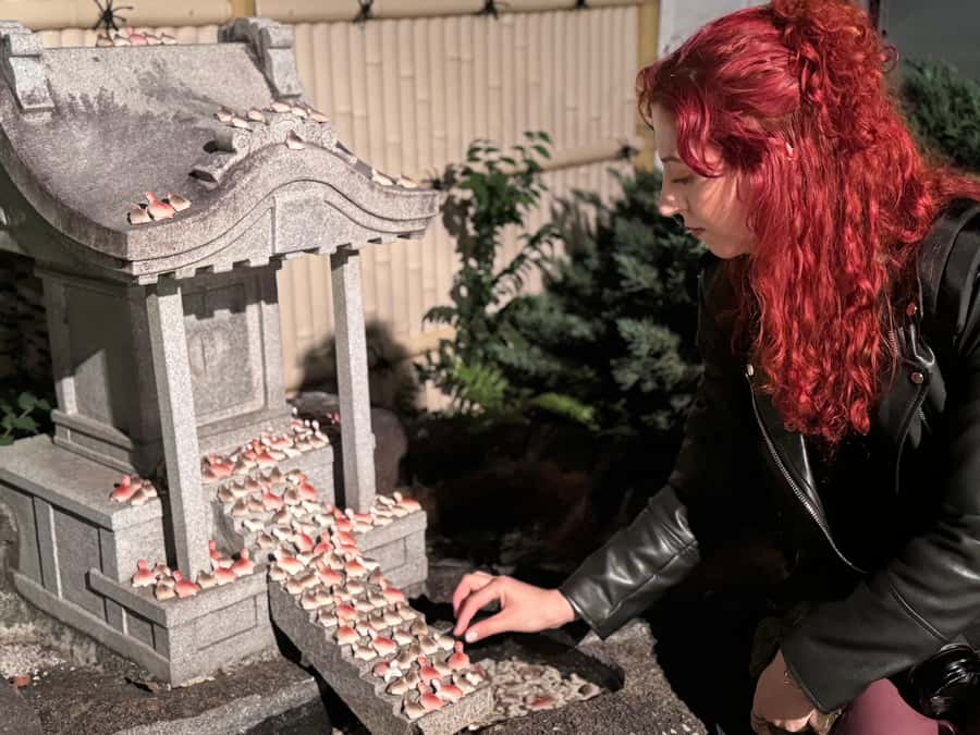 Osaka: Night view and Jinjya tour - An Authentic Nighttime Journey Through Osakas Hidden Religious Sites