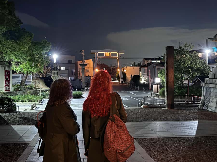 Osaka: Night view and Jinjya tour - In-Depth Look at the Itinerary