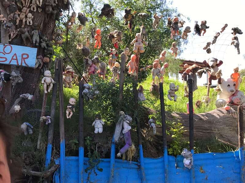 "Floating Party in Xochimilco: Canals, Tequila, and Tradition" - The Itinerary in Detail