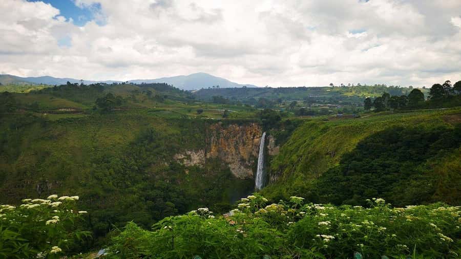 Medan: Taman Simalem Resort Day Trip with Lunch - A Closer Look: What to Expect on Your Day Trip