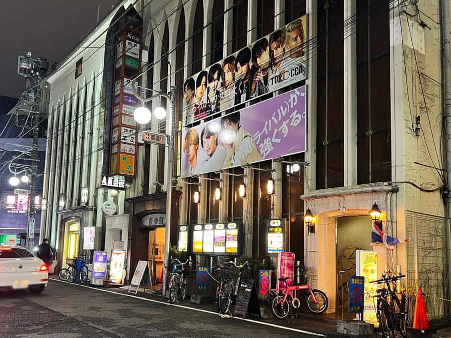 Tokyo Shinjuku Kabukicho Day Tour - Who is This Tour Best For?