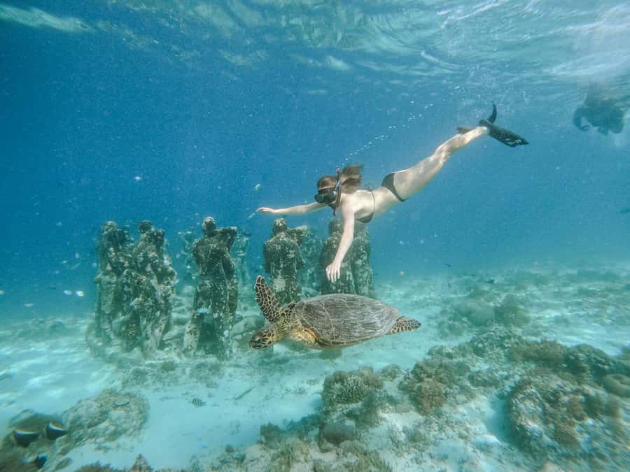 From Lombok: 3 Gili Islands Private Snorkeling Adventure - Why Choose This Tour?