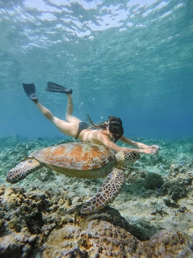 From Lombok: 3 Gili Islands Private Snorkeling Adventure - FAQ