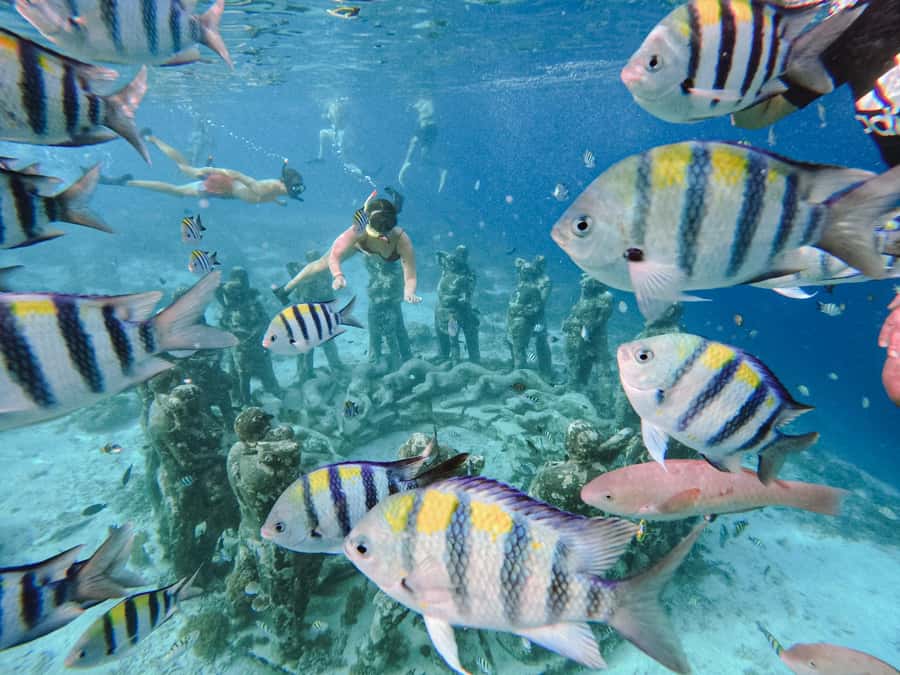 From Lombok: 3 Gili Islands Private Snorkeling Adventure - How Do You Value This Experience?