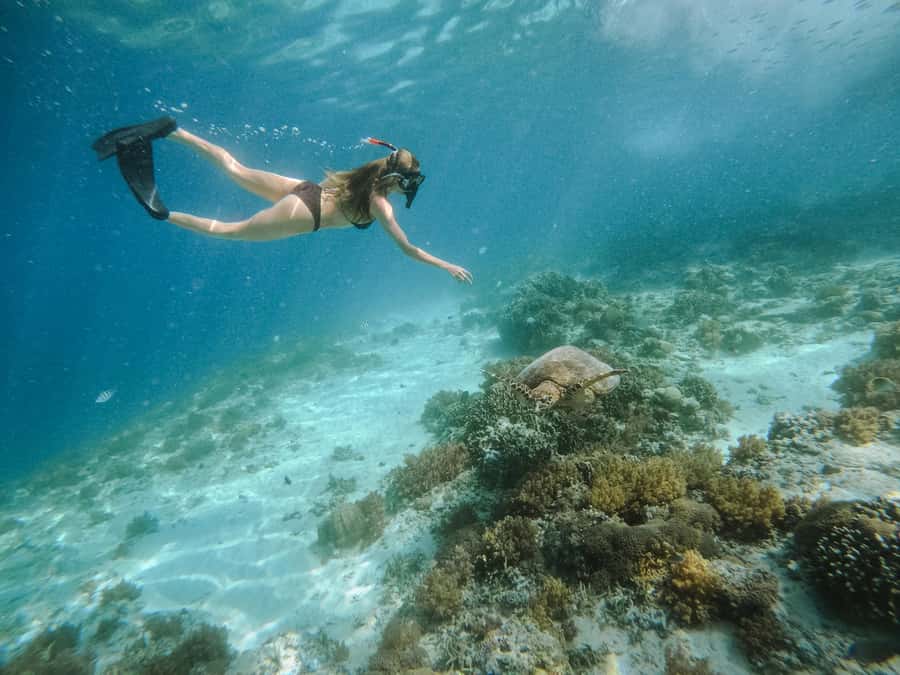 From Lombok: 3 Gili Islands Private Snorkeling Adventure - What Sets This Tour Apart