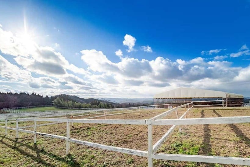 Horseback Riding Club to learn about connecting lives - Who Should Consider This Experience?