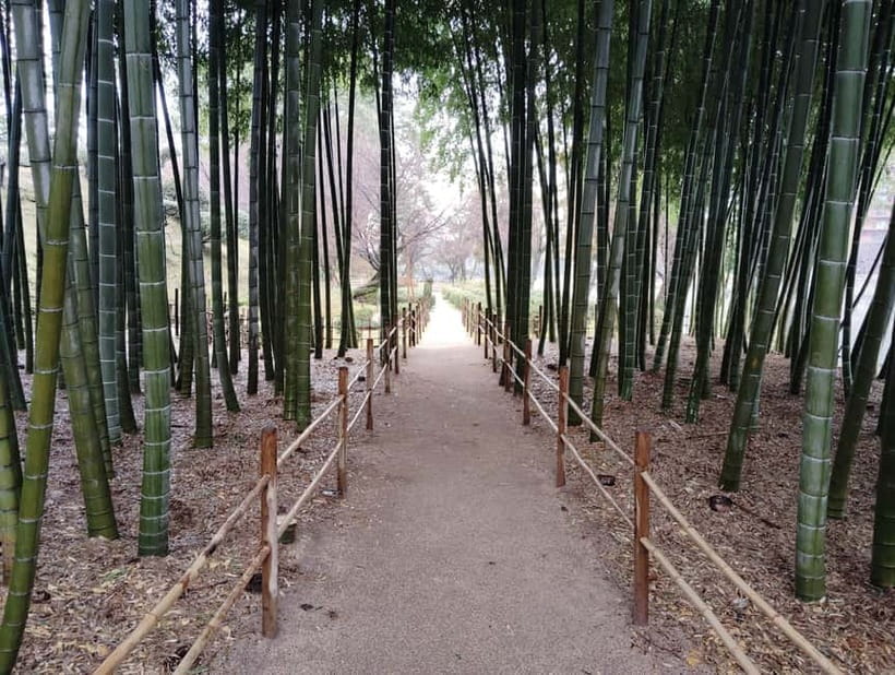 Hiroshima: Shukkei-en Garden with local guide 90min - Who Will Love This Tour?