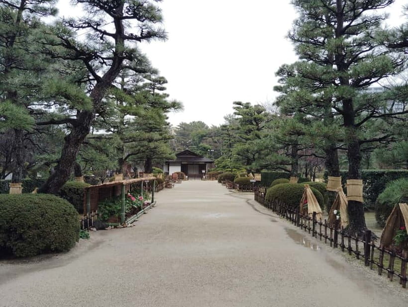 Hiroshima: Shukkei-en Garden with local guide 90min - Why This Tour Offers Great Value