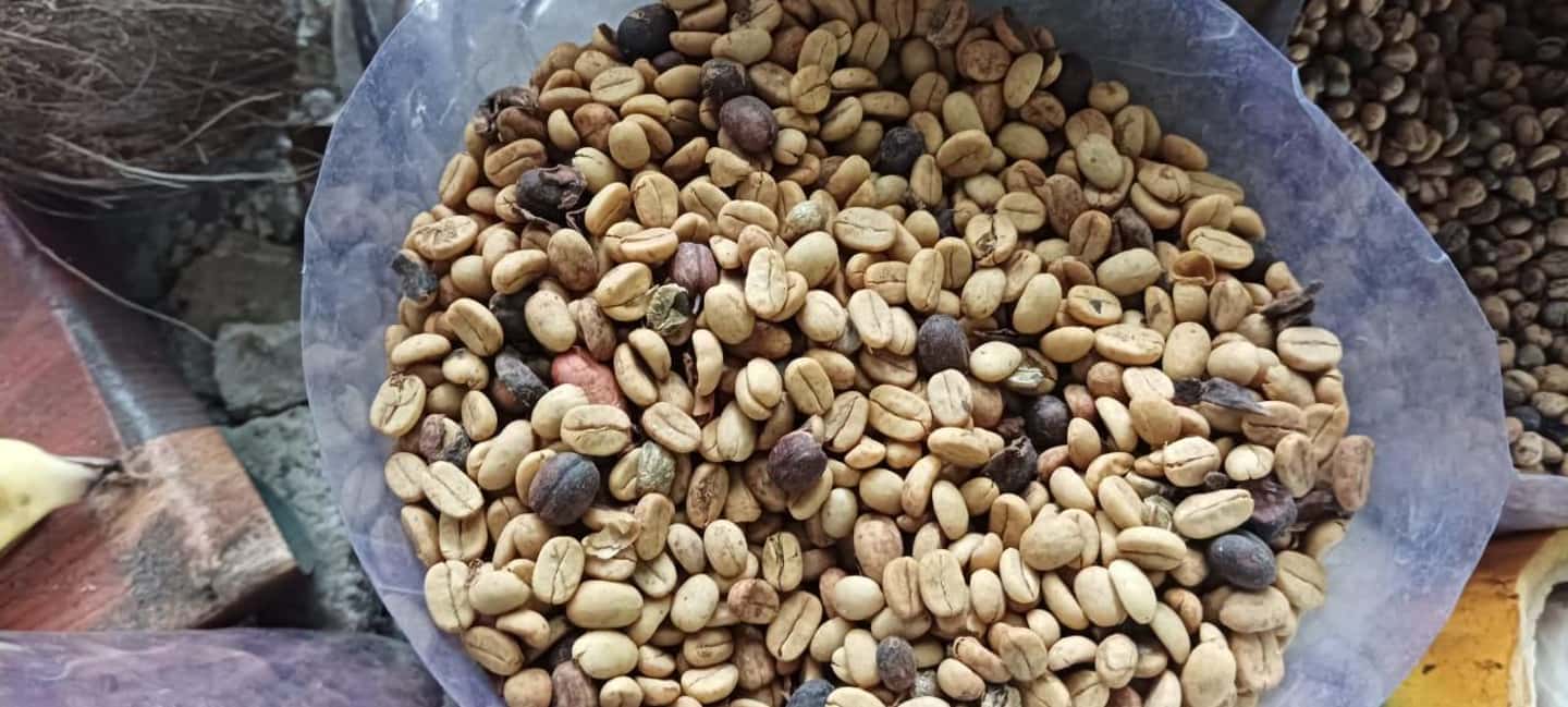 Higuey discovery, coffee and cocoa tasting from punta cana - A Practical Look at the Higüey Discovery Tour