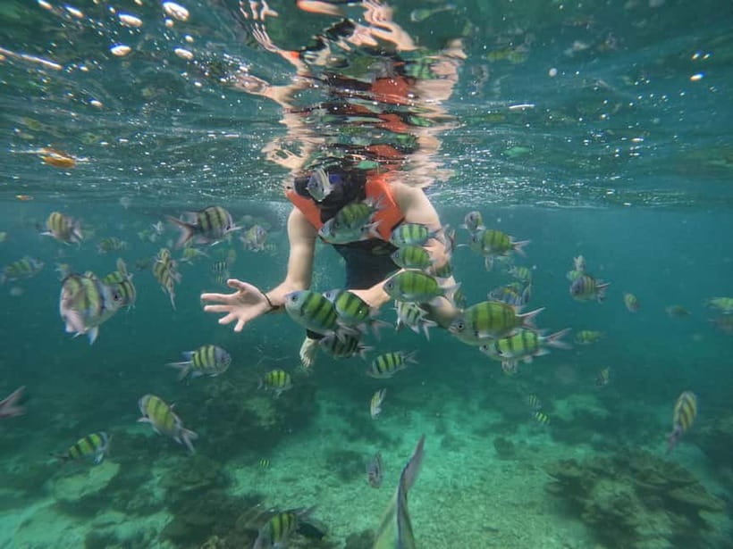 Koh Phi Phi: Halfday Sunset Bamboo & Nui Bay Speedboat Tour - Who Should Book This Tour?