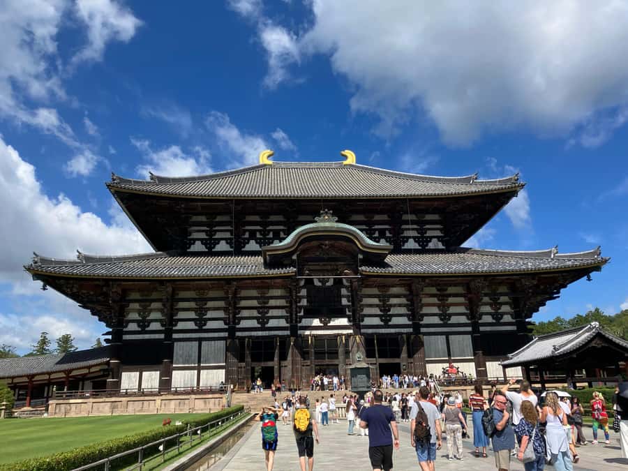 Nara Walking Tour for Small Groups: Temples and Deer - An In-Depth Look at Nara’s Highlights
