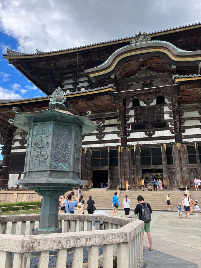 Nara Walking Tour for Small Groups: Temples and Deer - FAQ