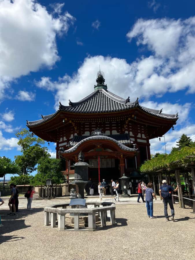 Nara Walking Tour for Small Groups: Temples and Deer - The Sum Up