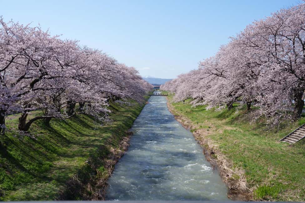 Kanazawa/Toyama: Spring Quartet of Flowers Day Tour - Practical Details