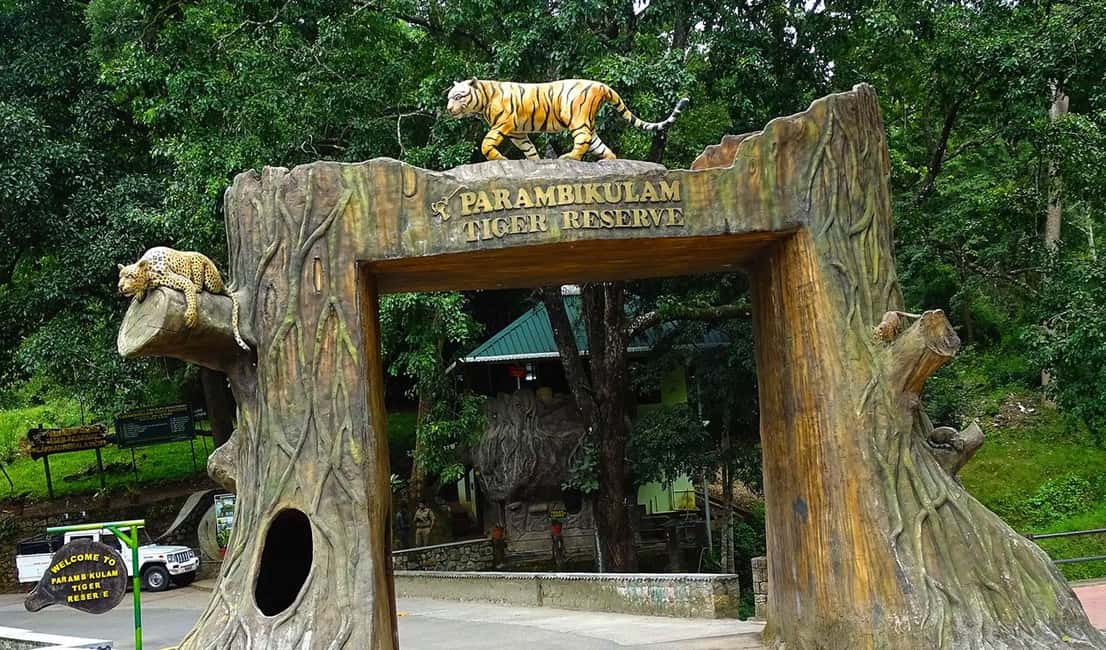 Coimbatore Day Tour: Forest, Wildlife & Hill Station Trip - Who Will Love This Tour?