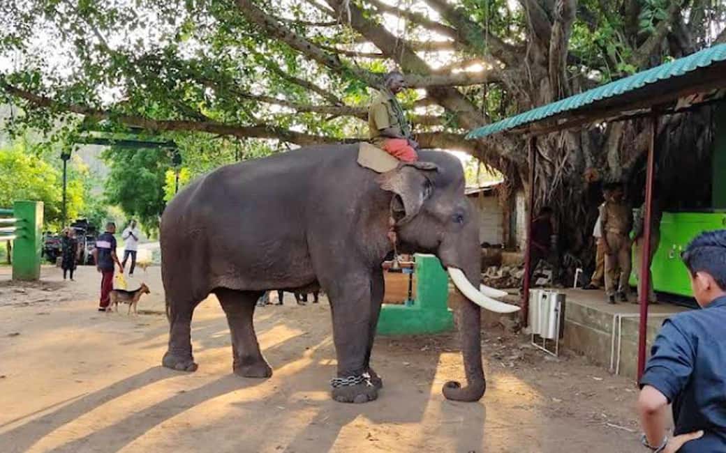 Coimbatore Day Tour: Forest, Wildlife & Hill Station Trip - FAQ