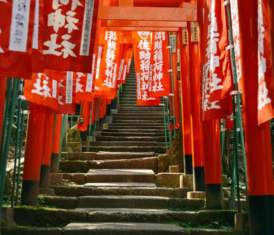 Kamakura: Cherry Blossom Full Day Tour with Expert Guide - Key Points