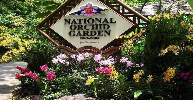 Singapore: Private Full-Day Island Tour - Practical Details: What Makes This Tour Stand Out