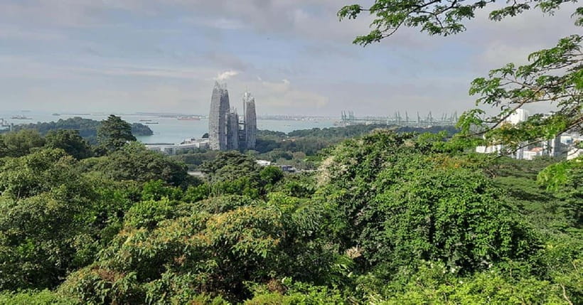 Singapore: Private Full-Day Island Tour - Key Points