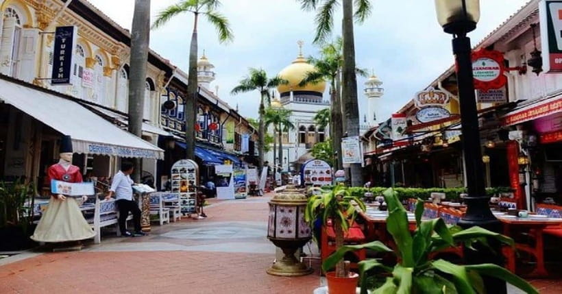 Singapore: Private Full-Day Island Tour - An Honest Look at a Personalized Singapore Experience