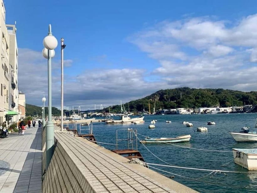 1-Day Onomichi & Ikuchijima Island: Temples, Ropeway & Ferry - A Full Breakdown of the Day