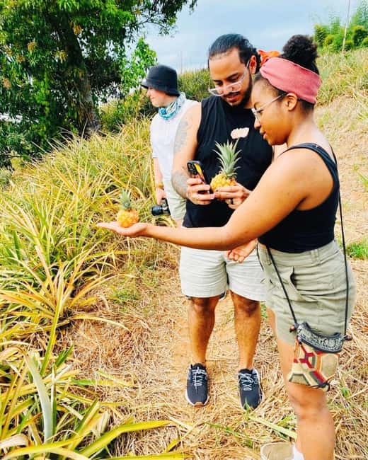 Montego Bay: The Great Kids Quest to the South Coast - Exploring Jamaica’s South Coast: A Closer Look