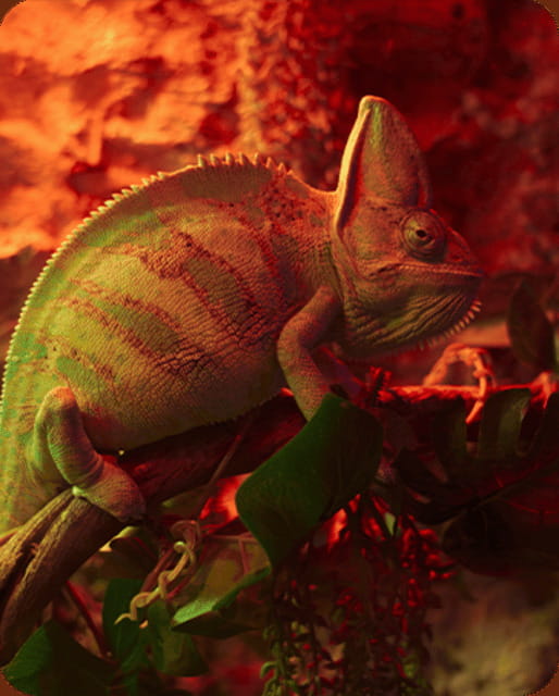 Mexico City: Fast Pass Ticket to Acuarium Inbursa - Practical Details and Tips