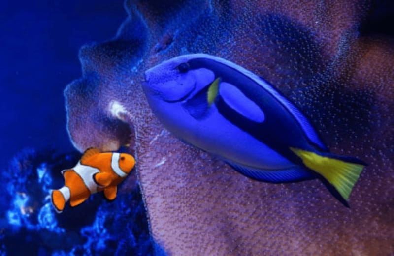 Mexico City: Fast Pass Ticket to Acuarium Inbursa - Key Points