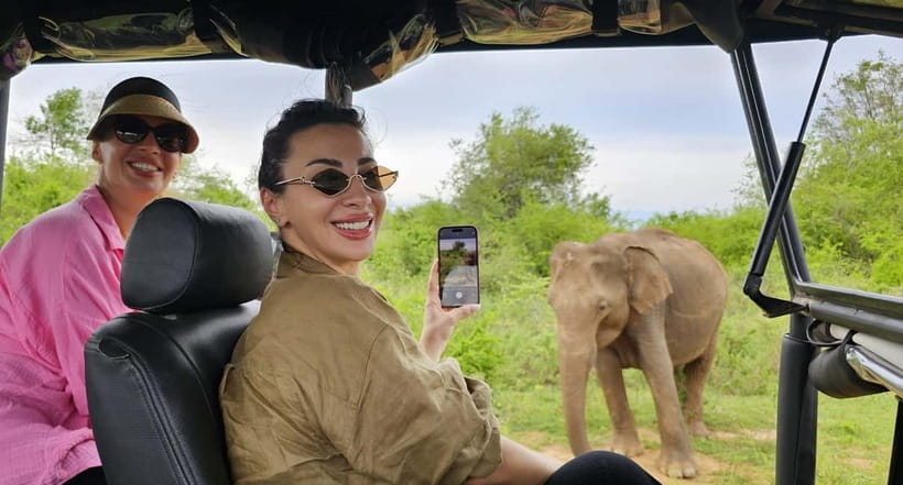 From Around Tangalle: Half-Day Yala Safari Private Tour(M/E) - Who Is This Tour Best For?