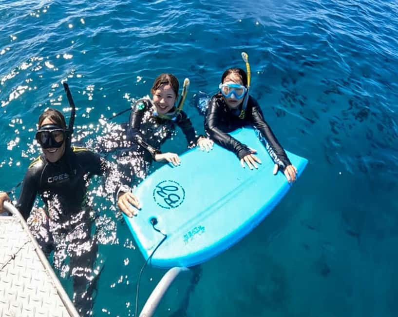 Waikiki: AM Paradise Honu Snorkeling - The Value of Support and Extras