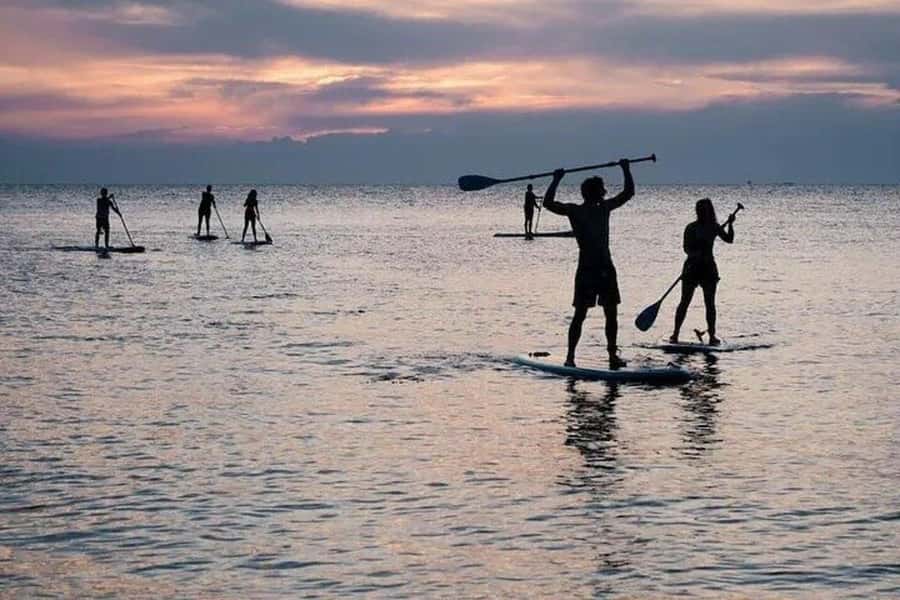 Mirissa: Paddle Boarding Experience - Introduction
