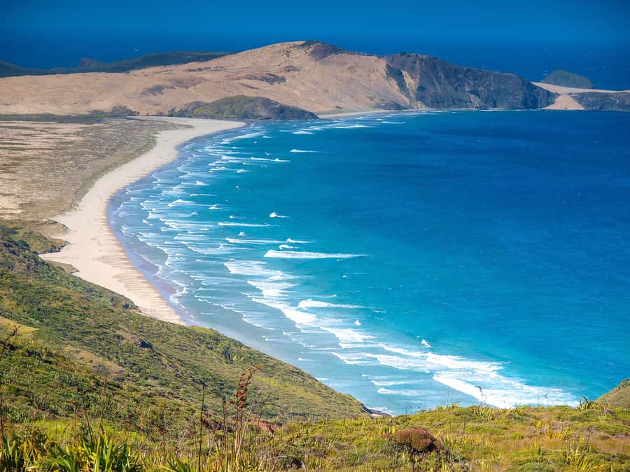 Cape Reinga: Day Trip from Paihia, Kerikeri, or Kaitaia - Key Points