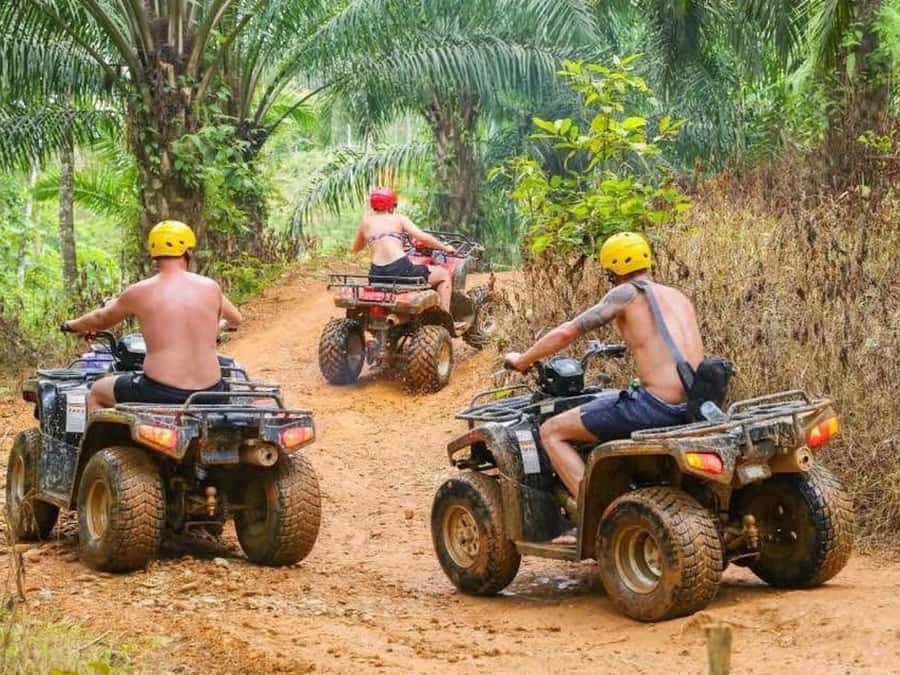 Phuket: Guided Tour ATV Ride & Elephant Feeding & City Trip - Cultural and Culinary Highlights: Chalong Temple and Food Experiences
