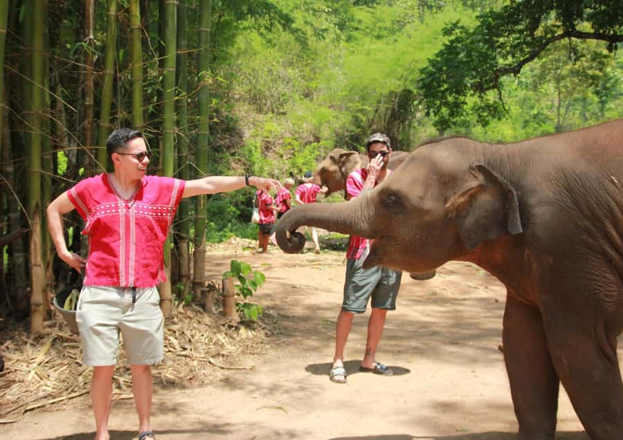Phuket: Guided Tour ATV Ride & Elephant Feeding & City Trip - Phuket: Guided Tour ATV Ride & Elephant Feeding & City Trip