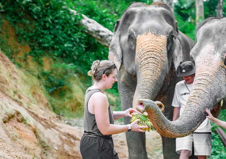 Phuket: Guided Tour ATV Ride & Elephant Feeding & City Trip - Good To Know