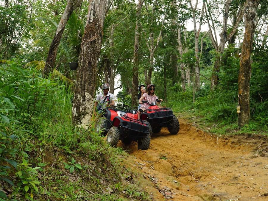 Phuket: Guided Tour ATV Ride & Elephant Feeding & City Trip - Who is This Tour Best For?