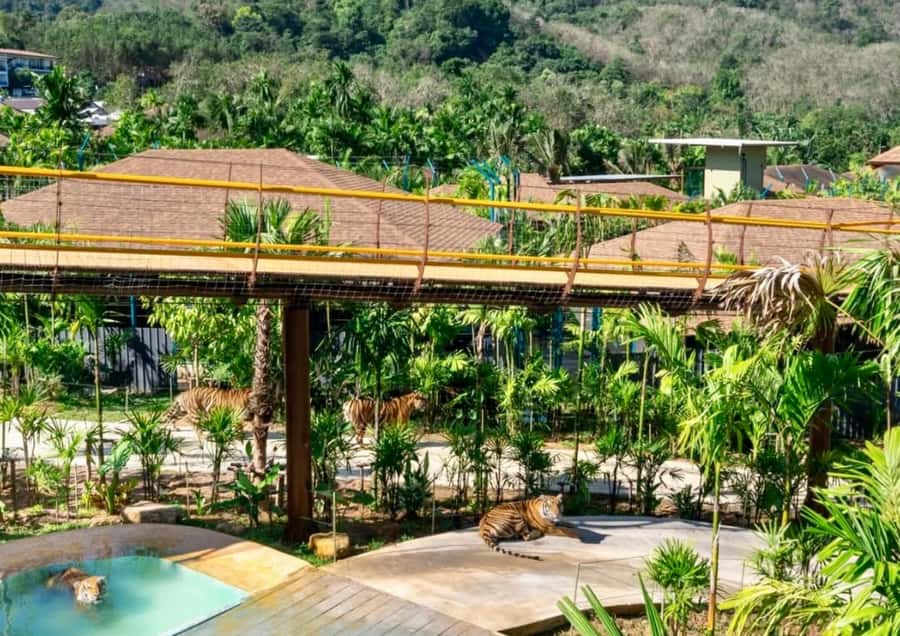 Phuket: Guided Tour ATV Ride & Elephant Feeding & City Trip - What’s the Value Here?