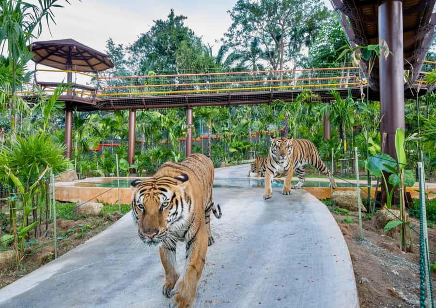 Phuket: Guided Tour ATV Ride & Elephant Feeding & City Trip - Exploring Phuket’s Scenic Landscapes and Iconic Spots