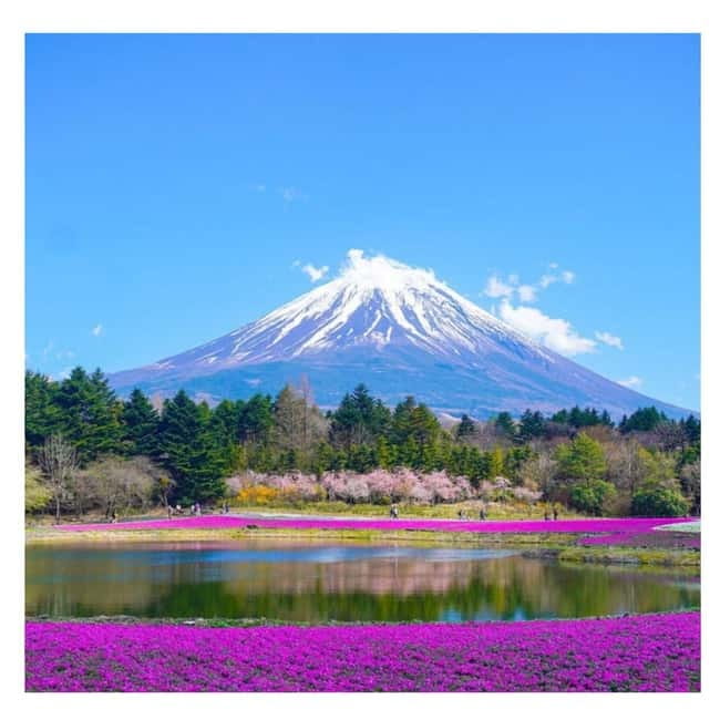 Mount Fuji Full Day Private Tour from Tokyo Full Customized - FAQ  