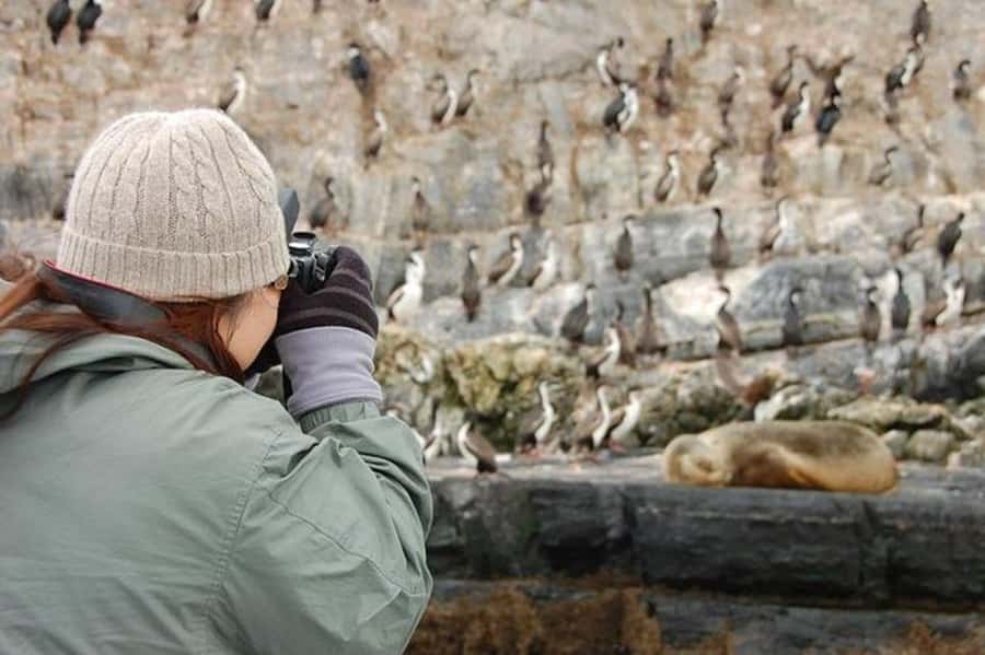 Ushuaia: Beagle Channel Penguin Colony Tour - FAQ