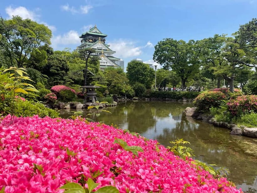 Osaka: City Highlights Bike Tour - Authentic Moments and Reviewer Insights