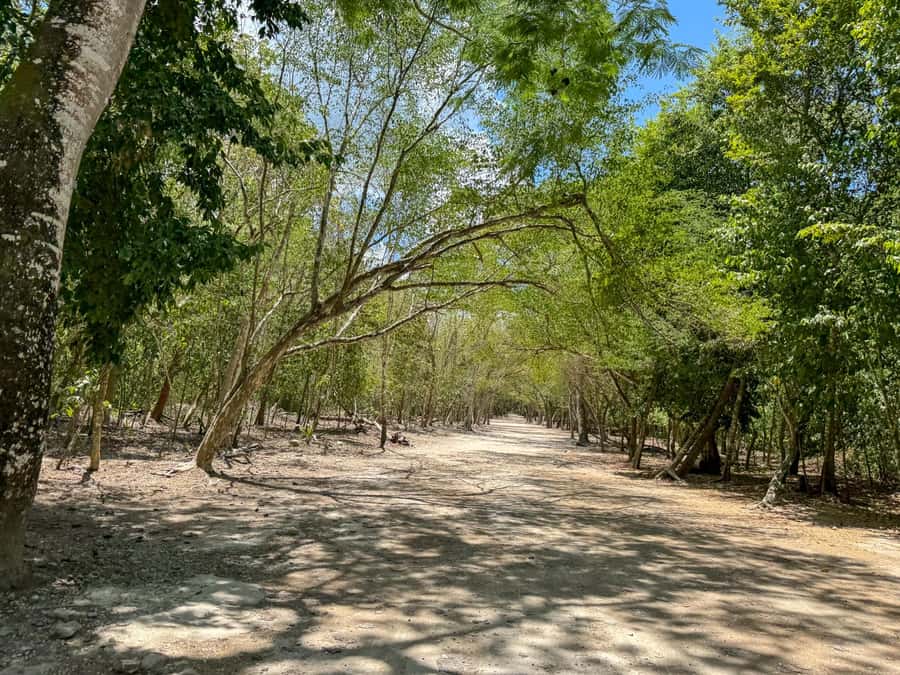 From Cancun: Tulum and Coba Tour with a cenote visit and buffet lunch - What the Reviews Say