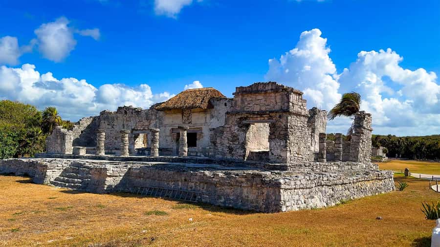 From Cancun: Tulum and Coba Tour with a cenote visit and buffet lunch - Who Should Consider This Tour?