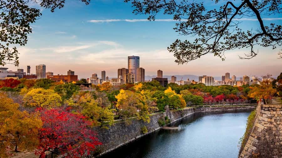 Osaka: Osaka Castle & Samurai History Walking Tour - Final Thoughts