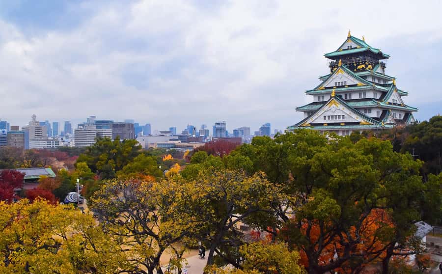 Osaka: Osaka Castle & Samurai History Walking Tour - Who Is This Tour Best Suited For?